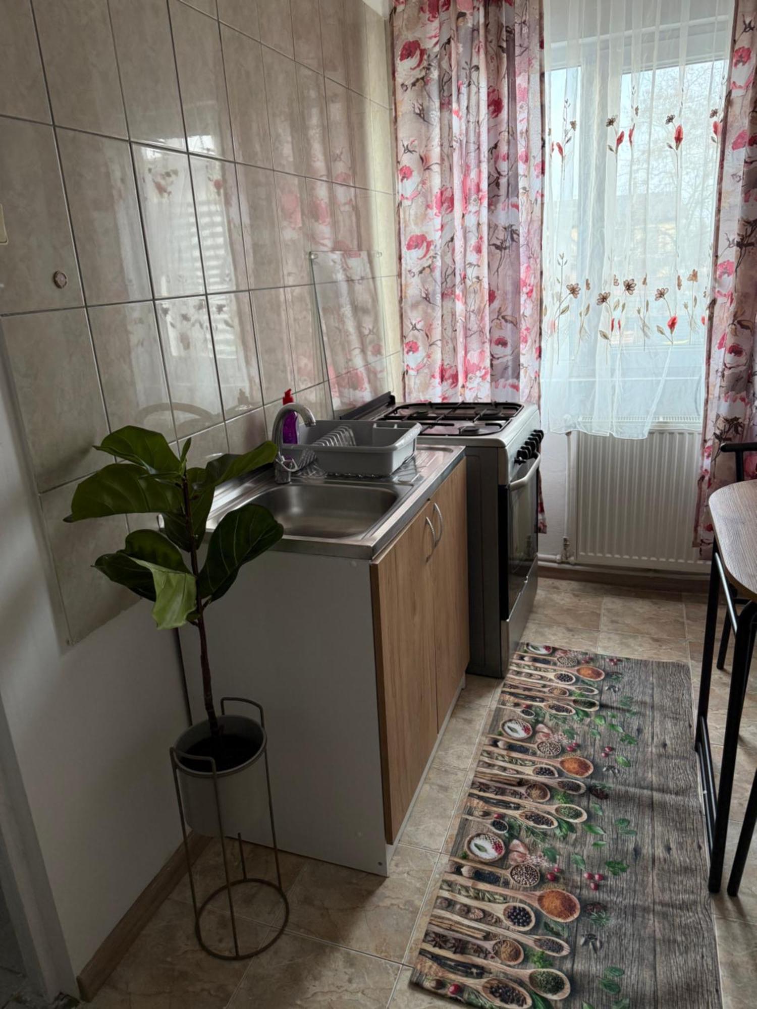 Someseni Apartment *